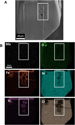 Assessing the interfacial corrosion mechanism of Inconel 617 in chloride molten salt corrosion using multi-modal advanced characterization techniques